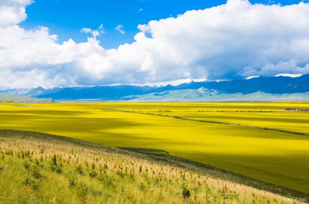 三江源头的色彩盛宴，走进青海的自然秘境