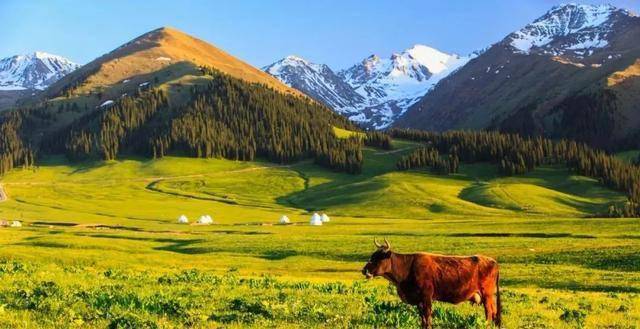 丝路明珠，新疆——多元文化交融的璀璨之地